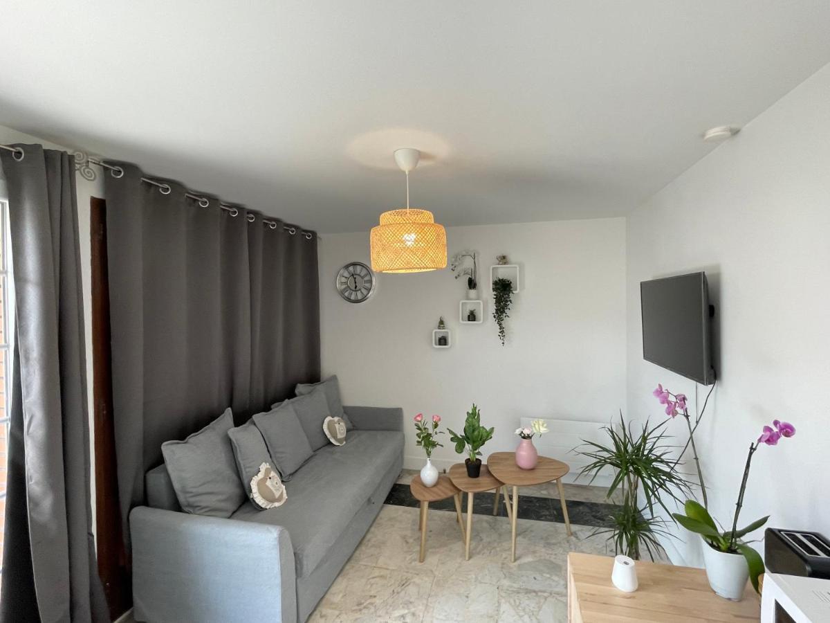 Joli T2, Terrasse Et Jardin, Ideal Pour Familles, A 15 Min De L'Aeroport Roissy Cdg Tremblay-en-France Buitenkant foto